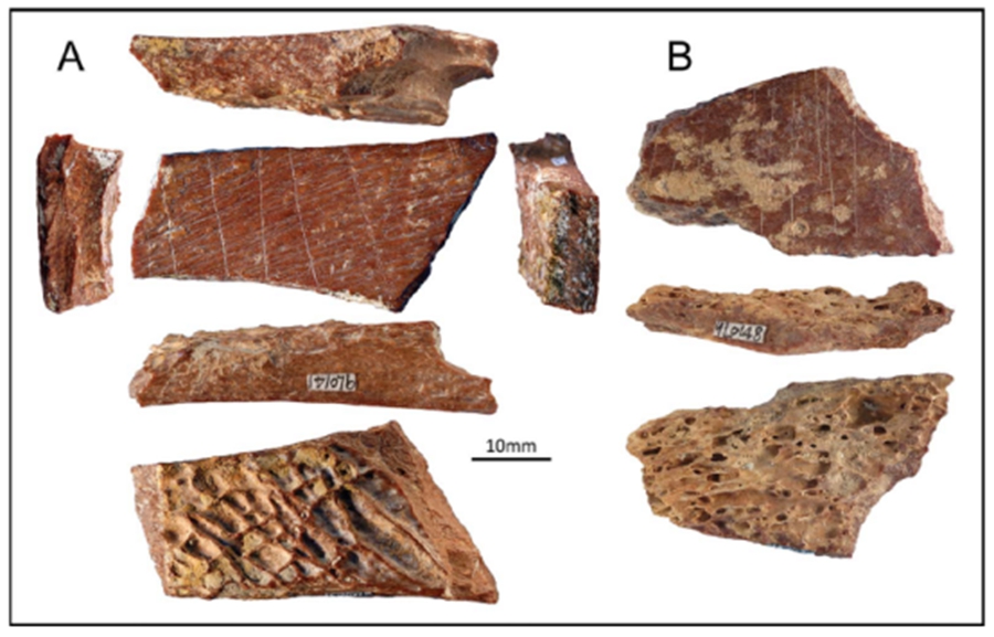 [National Geographic] Oldest Carving in East Asia Found. But Its Maker Is a Mystery