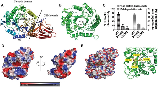 Fig-1.jpg