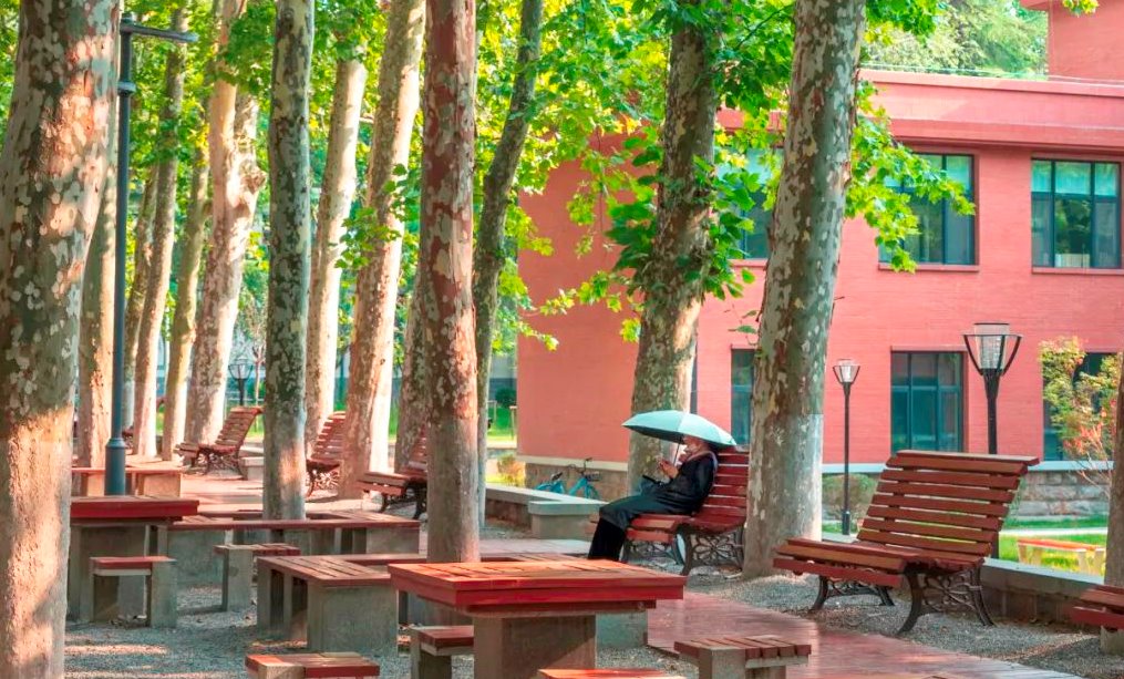 Scenery of Shandong University in early autumn